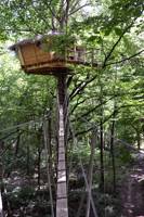 Treehouse glamping in a Normandy woodland