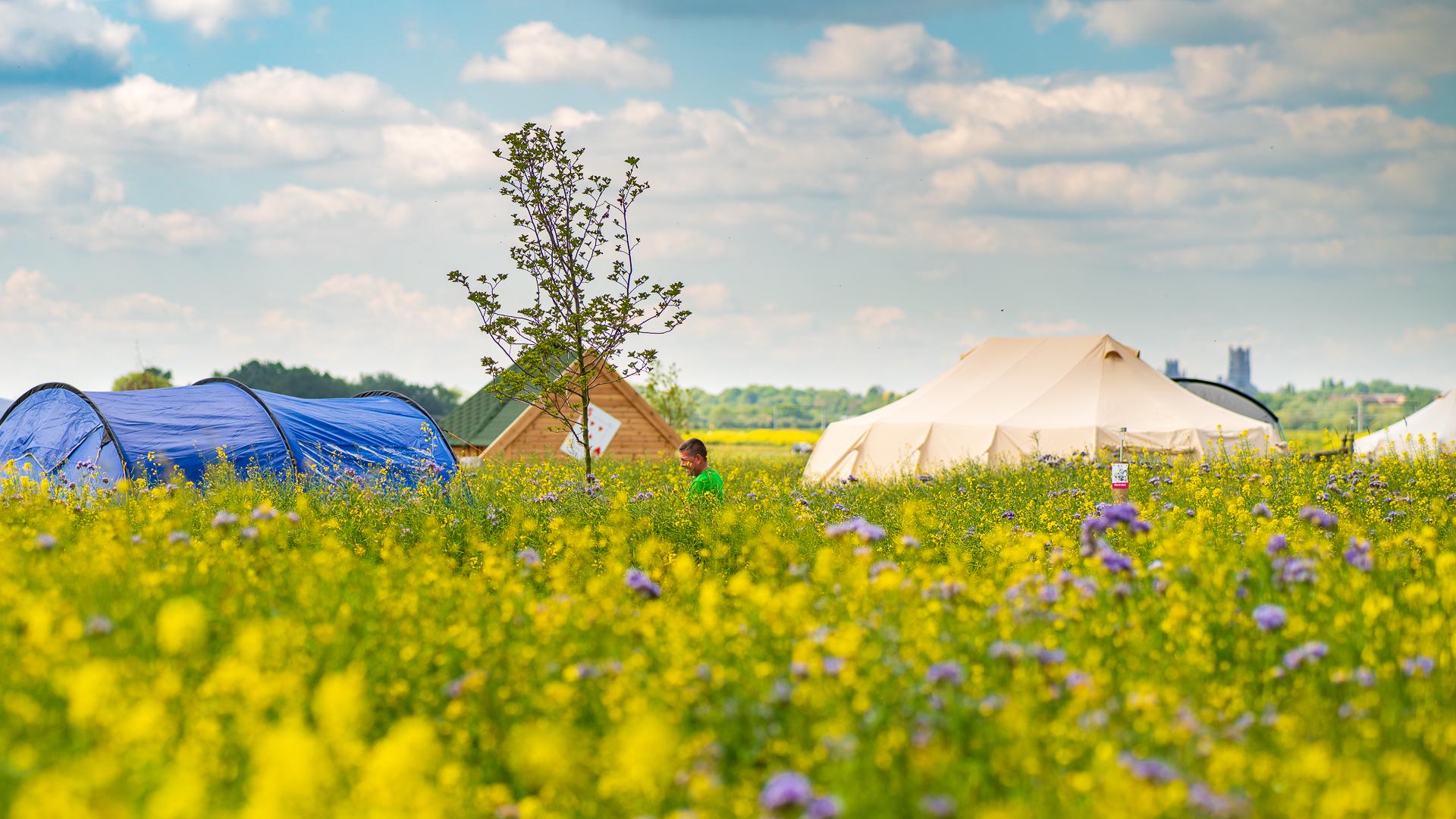 Campsites in Cambridgeshire – I Love This Campsite