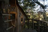 "Renard" Fox Tree House