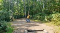 Forest Tent Pitch