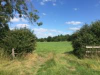 20 Pop-up Camping Meadow Pitch (1st Field)