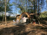 bluebelle cottage
