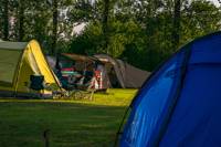 Grass Tent Camping Pitch