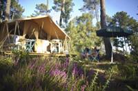 The Classic IV Wood & Canvas Tent