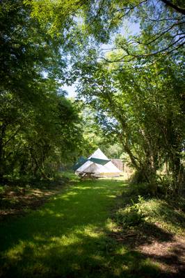 Railway 6 - Wild Camping - Private Pitch