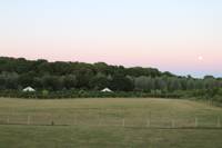 Willow yurt