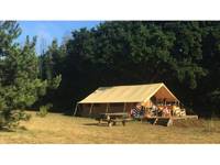Safari Tent