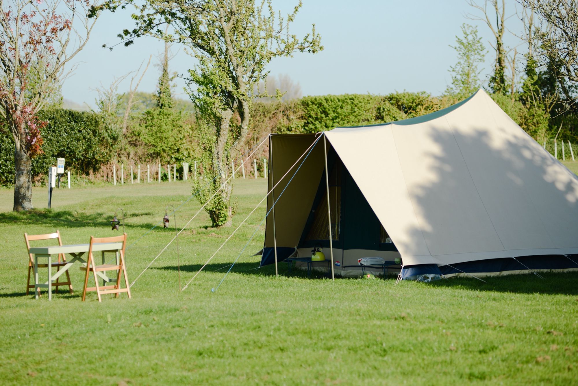 Standard Grass Tent Pitch 1 at Ninham Country Holidays - Cool Camping (512)