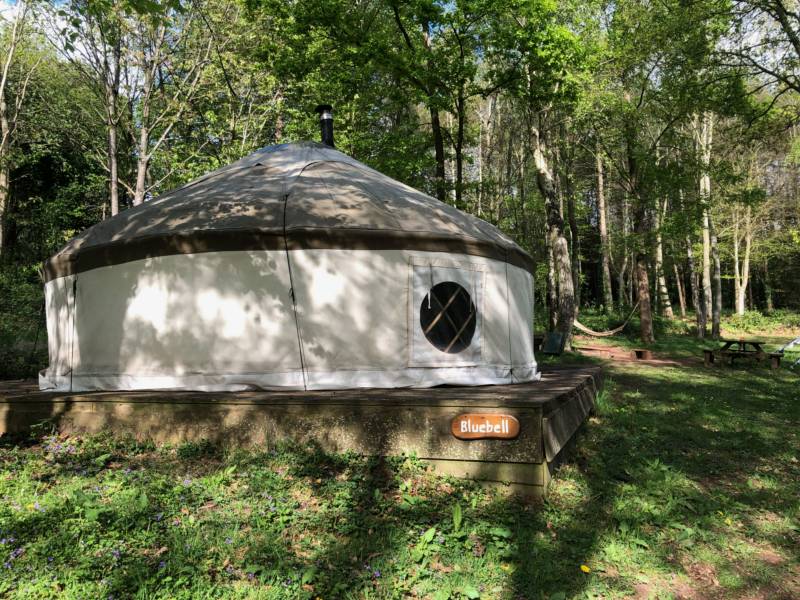 Bluebell Yurt