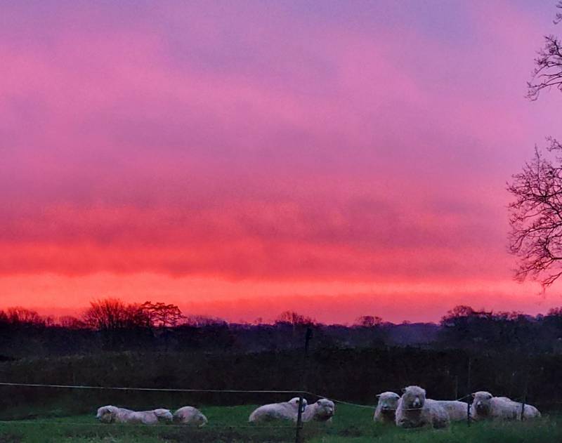 The Ryeland Retreat,