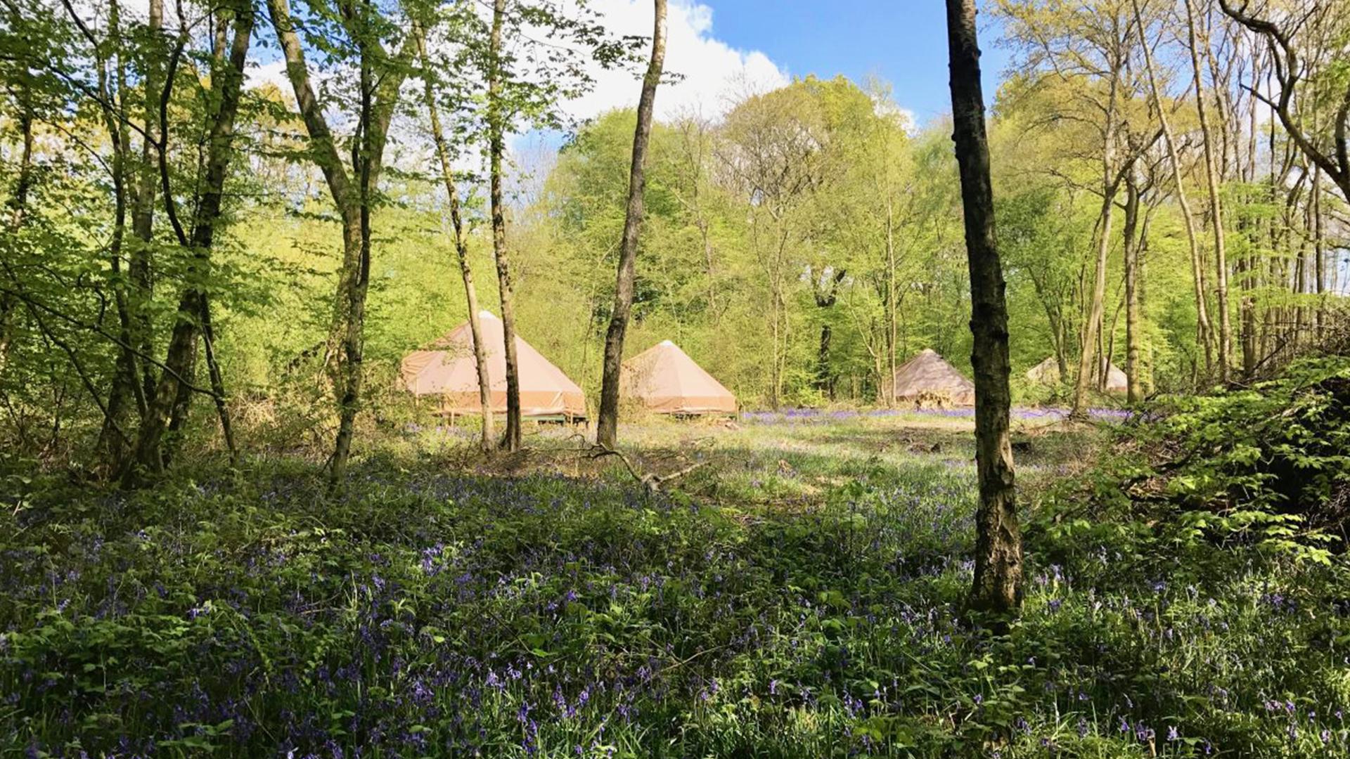 Glamping in Haywards Heath holidays at Cool Camping