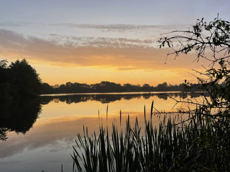 Standard Grass Pitch 8