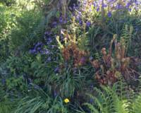 Clover Fields Camping Pitch Sleeps 6