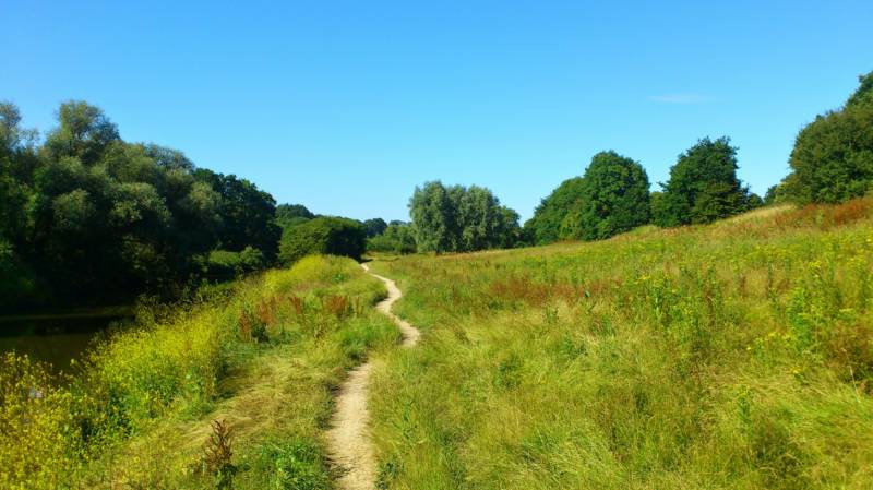 Campervan Hire in Kent | Motorhome Rental in Kent