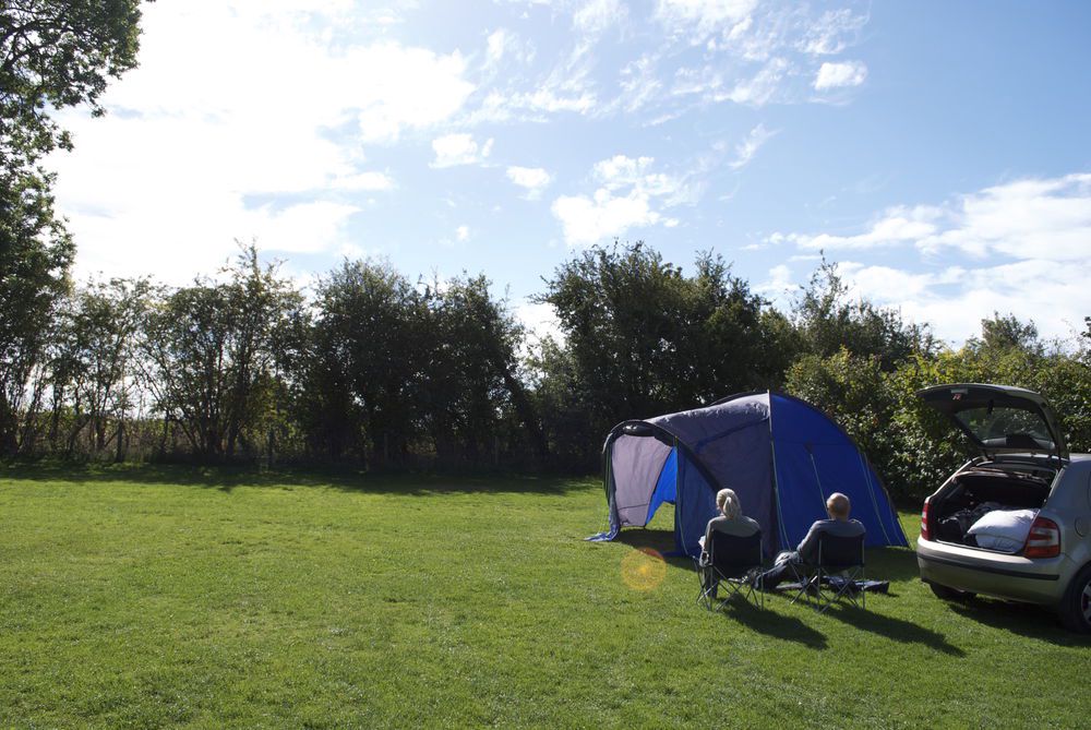 Extra Large Tent only Grass Pitch 38 at Cotswolds Camping Cool