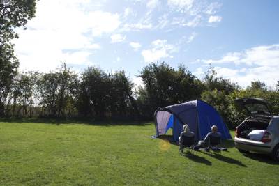 Large  Tent Pitch  (9x9m) Electric  (EHU)