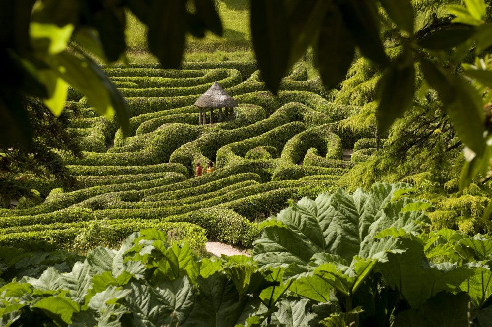 Живого места. Glendurgan Garden Корнуолл. Сад Глендерган, Корнуолл, Англия. Лабиринт сада Глендурган. Сказочный Лабиринт из кустов.