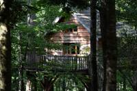 "Panda" Family Tree House