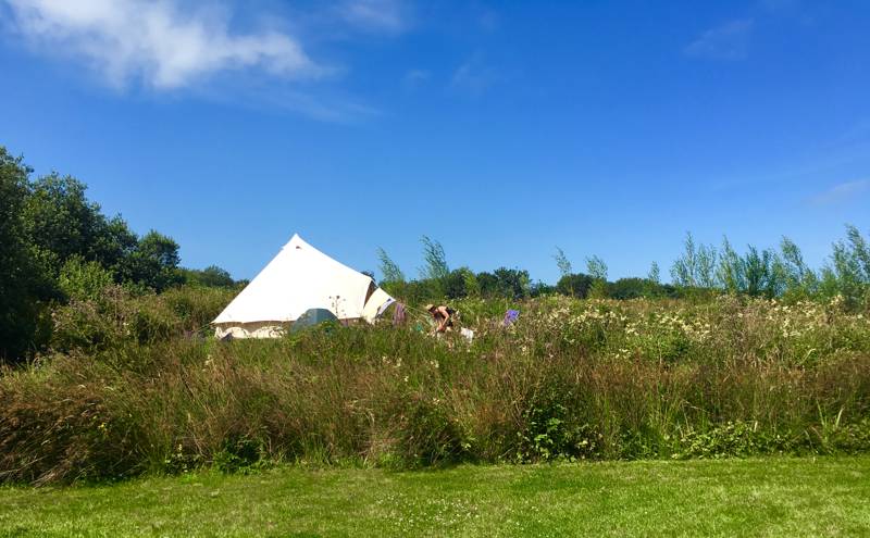 Walton West Campsite Lower Foxhill, Walton West, Little Haven, Pembrokeshire SA62 3UA