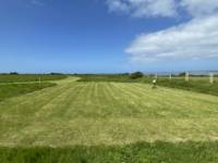 Buzzard Grass Pitch (electric)