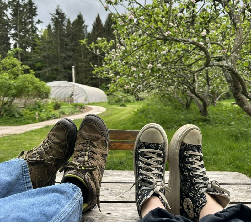 Orchard Private Camping