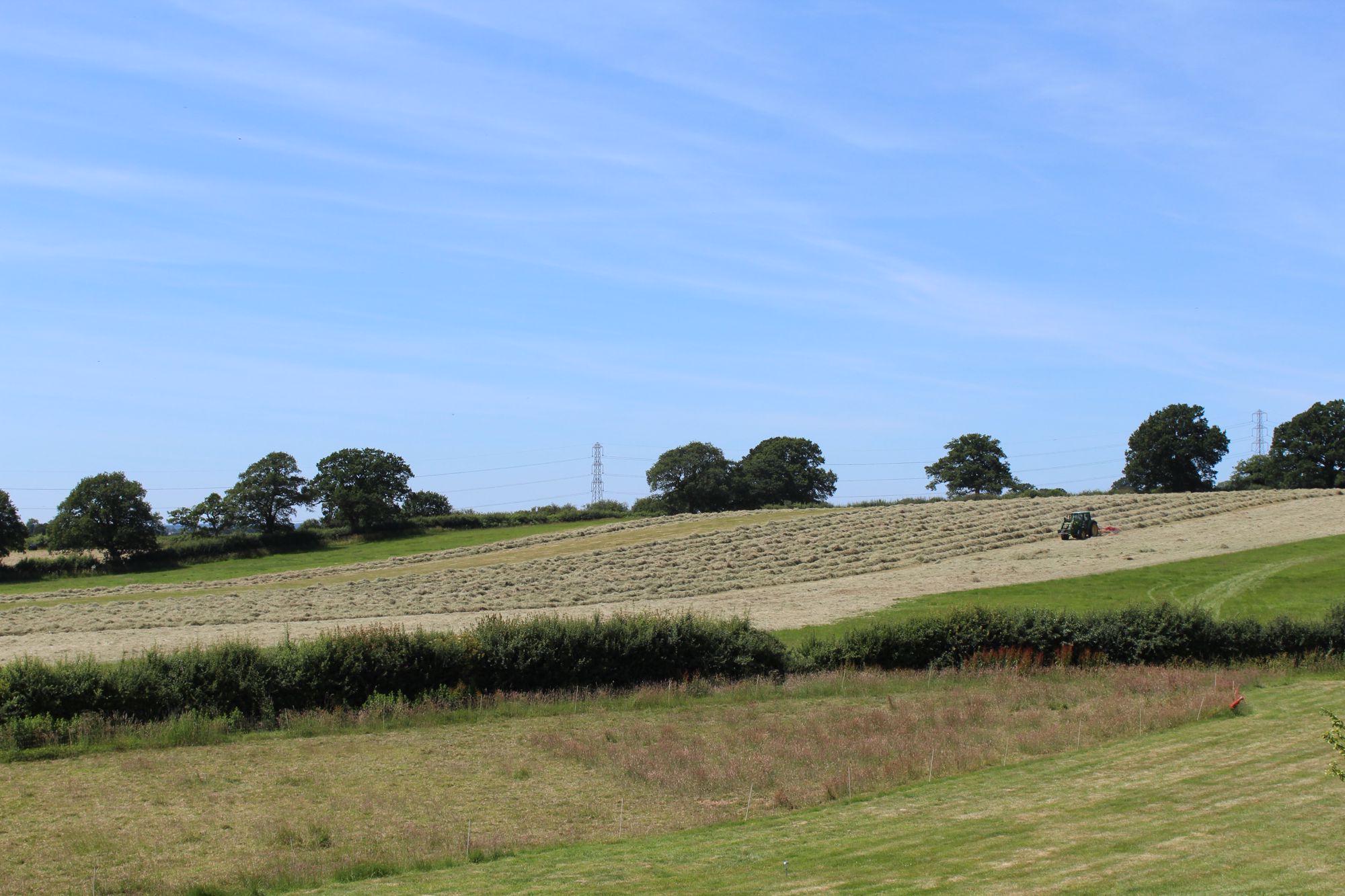 Malmesbury Camping | Campsites Near Malmesbury, Wiltshire