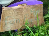 Fern Pippin Yurt