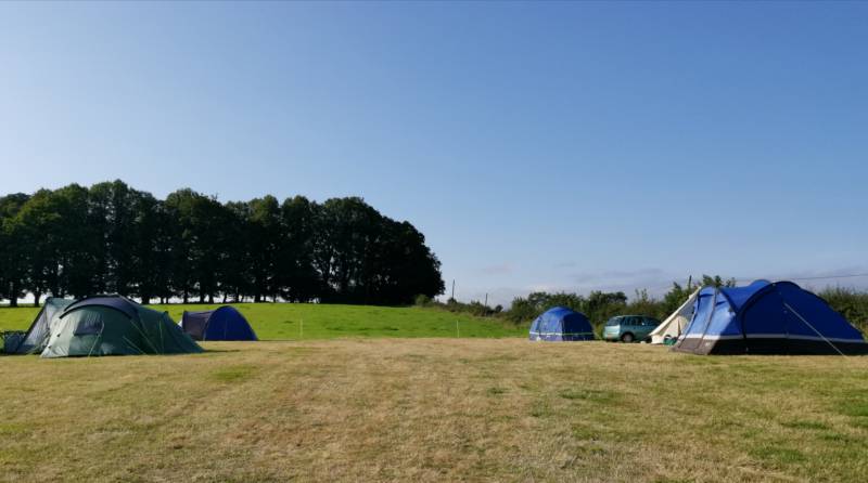 Family Pitch for larger tents / Campervan