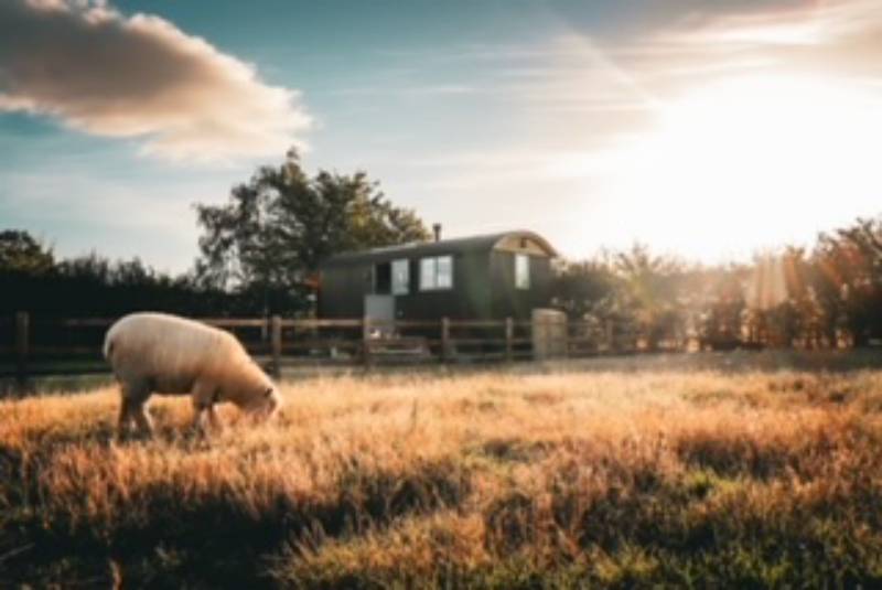 Shepherd's Hut
