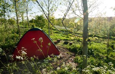 Bath Camping Best Campsites Near Bath Uk
