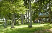Lofty the Treehouse