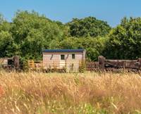 Hillside View Shepherds Hut