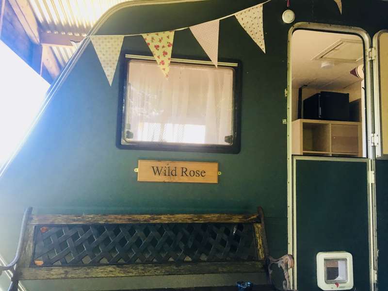 Wild Rose Vintage Caravan