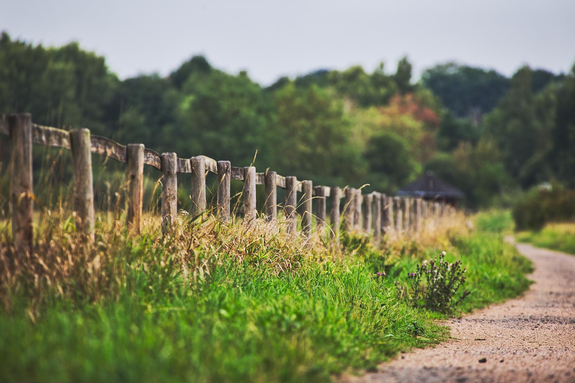 Marlborough Camping | Campsites Near Marlborough, Wiltshire