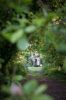 Elderflower Hut