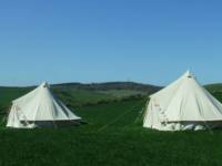 Dandelion Bell Tent