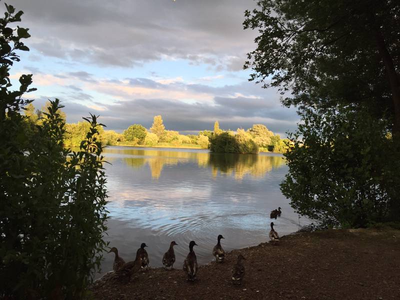 W5 Non Members Grass Pitch