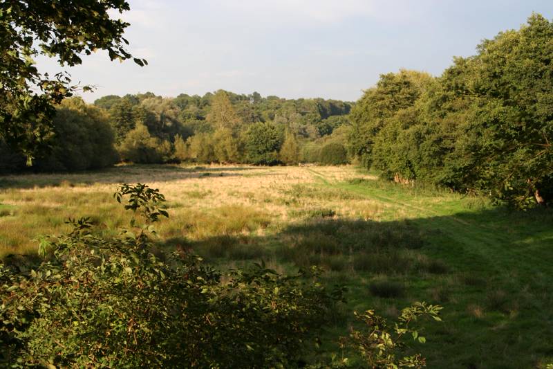 Wild camp pitch - up to 8 people