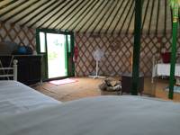 Buttercup Yurt