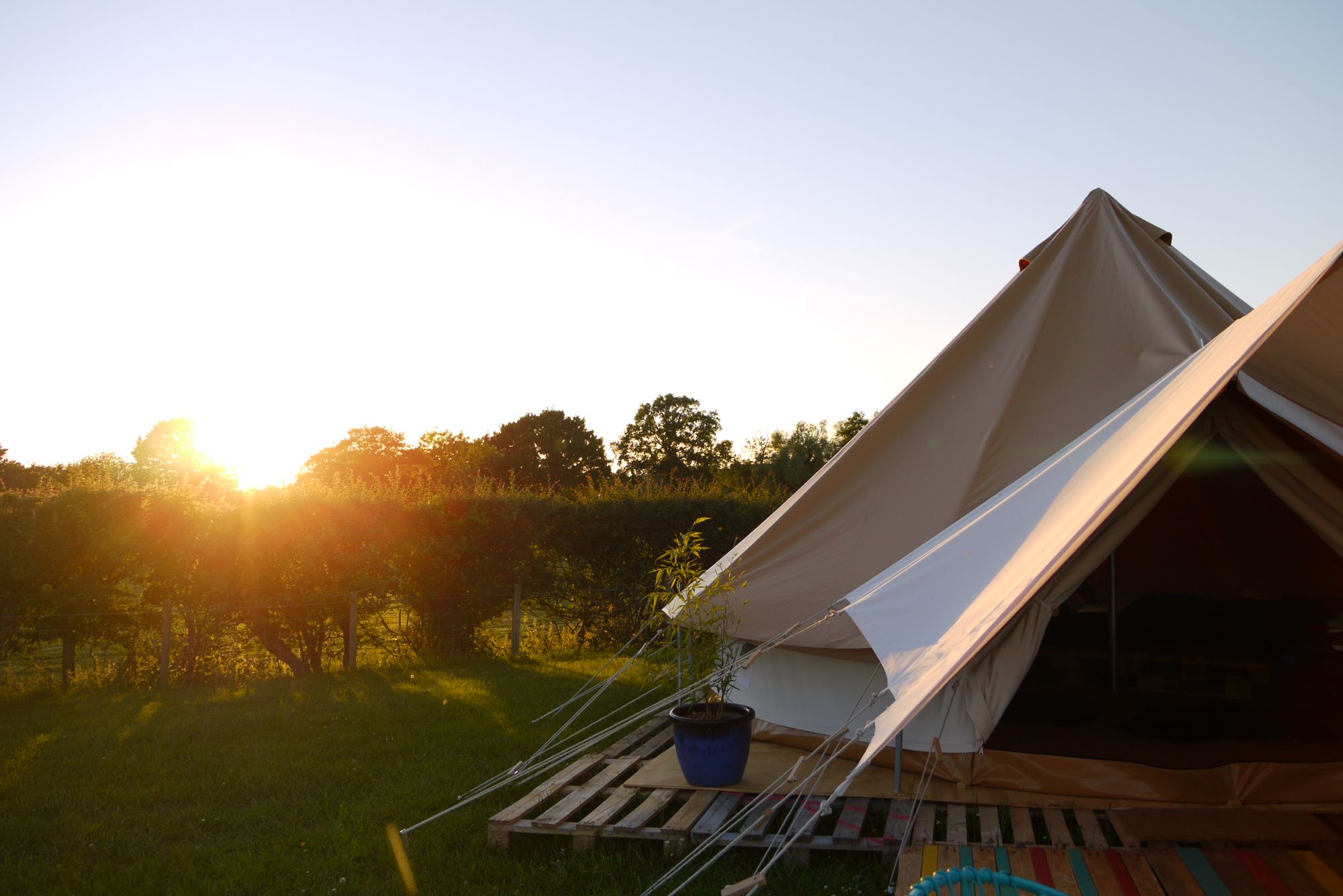 Campsites in Maidstone holidays at Cool Camping