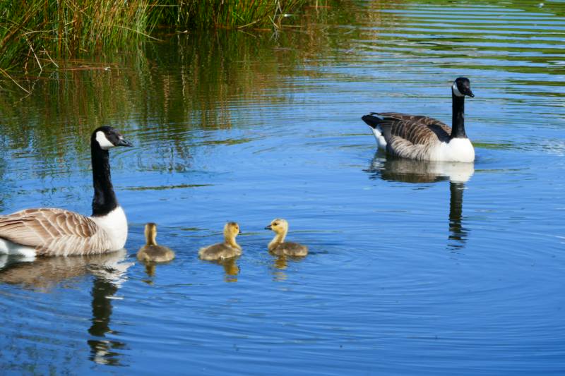 Crinkly Cabin with Sauna and Hot Tub