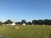 Simple New Forest Bell