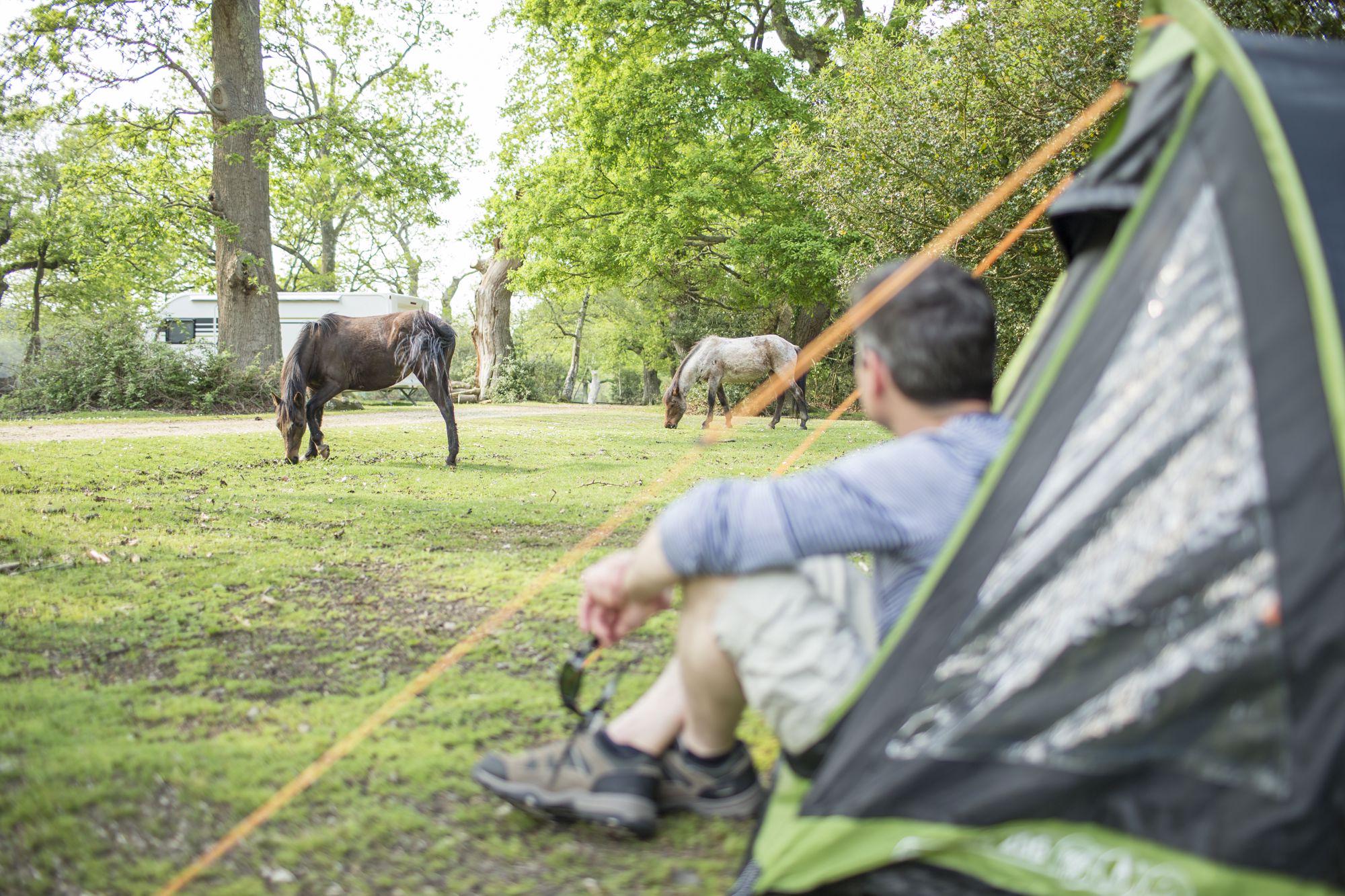 Ashurst Camping