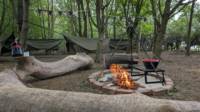 HamCamp, Pre-Pitched Hammocks in the Woods