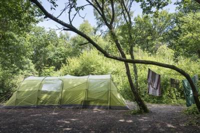 Campsites Near London: Top Tips For Your Capital Camping Trip