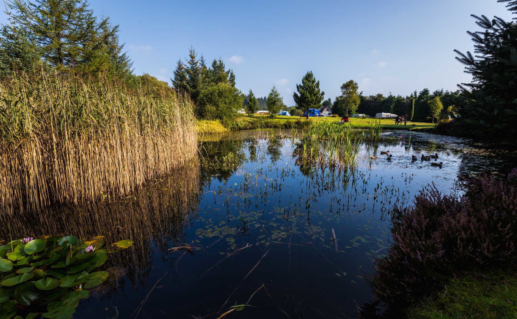 glentrool-camping-caravan-site-dumfries-and-galloway