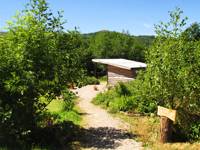 Cabin Tal y Fan