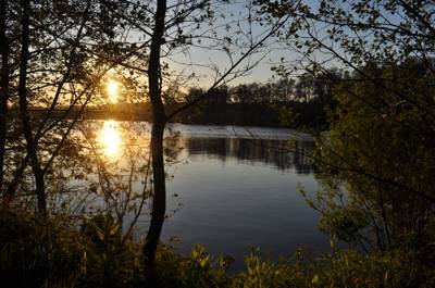 Bell Tent 3 field pitched MAPLE with porch