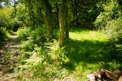 Lake Woods 3 - Wild Camping - Private Pitch