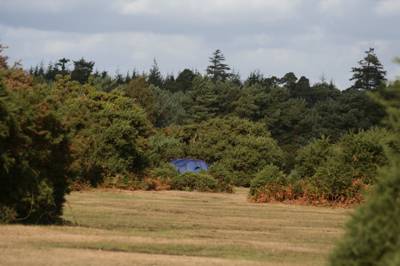 Roundhill Campsite Beaulieu Road, Brockenhurst, Hampshire, SO42 7QL